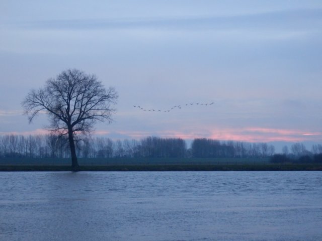NWK 2014 003.jpg